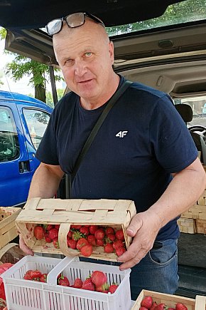 Truskawkowy sezon w Łowiczu na finiszu?-11897