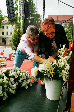 Boże Ciało w Łowiczu. Przygotowania-11906