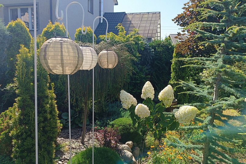 Nagrodzony ogród w Łowiczu