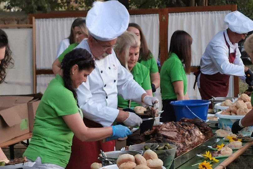 Dzień Kiernozkiego Dzika