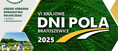 Bratoszewice. Dni Pola-4399