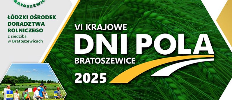 Bratoszewice. Dni Pola