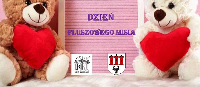 Bedlno. Bal z okazji dnia pluszowego misia-3488