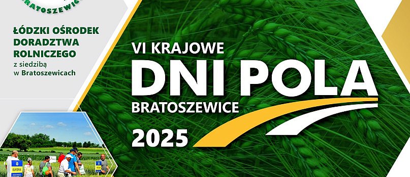 Bratoszewice. Dni Pola-4398