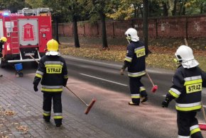 18 strażaków brało udział w usuwaniu plamy oleju-310524