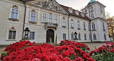 Kolejny rekord zwiedzających Muzeum w Nieborowie i Arkadii-320854