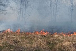 Kolejny pożar w okolicy... Strażacy opanowali sytuację-323419