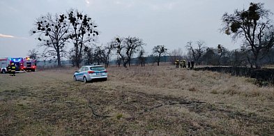 Tragedia w Nieborowie. W pożarze zginął mężczyzna-323377