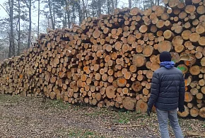 Las pod topór? Mieszkańcy chcą go chronić-323766