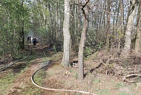 Świeryż Drugi. Strażacy gasili płonącą ściółkę w lesie. Pożar objął 1.400 mkw.-324868