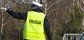 Na DK14. Łoś wybiegł przed skodę - nie przeżył
