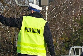 Na DK14. Łoś wybiegł przed skodę - nie przeżył-325560