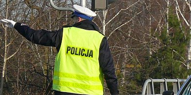 Na DK14. Łoś wybiegł przed skodę - nie przeżył-325560
