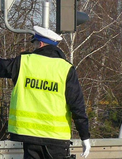 Na DK14. Łoś wybiegł przed skodę - nie przeżył-325560