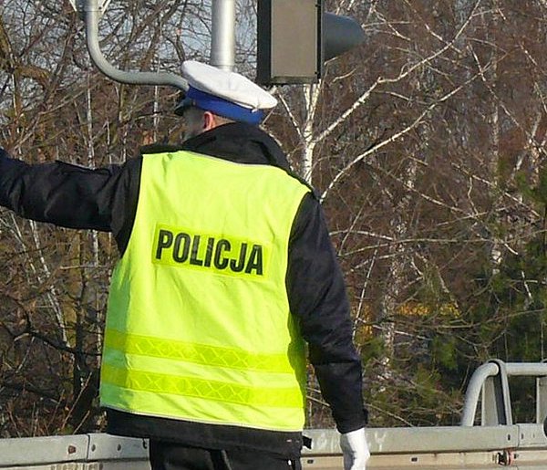 Na DK14. Łoś wybiegł przed skodę - nie przeżył-325560