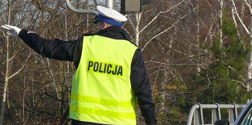 Na DK14. Łoś wybiegł przed skodę - nie przeżył - 325560
