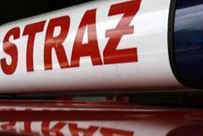 Pożar przy Nadbzurzańskiej – ogień na działce, straż w akcji-325566