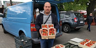 Pierwsze truskawki pojawiły się dziś na rynku w Łowiczu-325667