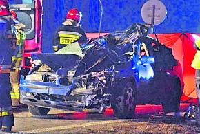 Dzikich zwierząt coraz więcej. Czy kierowcy są czujni?-325931