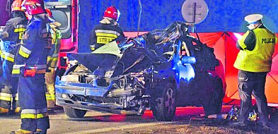 Dzikich zwierząt coraz więcej. Czy kierowcy są czujni?-325931