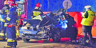 Dzikich zwierząt coraz więcej. Czy kierowcy się boją?-325931