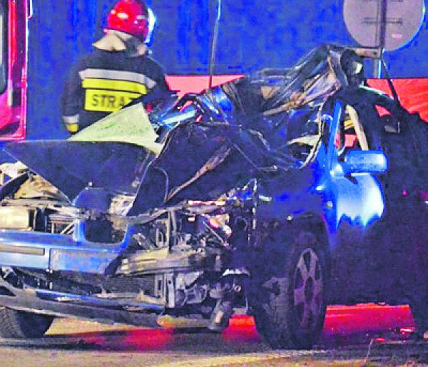 Dzikich zwierząt coraz więcej. Czy kierowcy są czujni?-325931