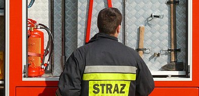 Popołudniowa interwencja straży w Łowiczu. Usuwali z posesji nieproszonego gościa-326577