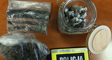 Miał przy sobie ponad 160 gram narkotyków-326752