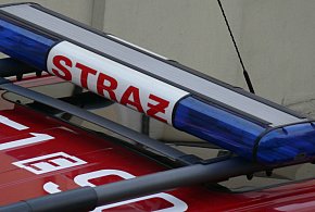 Bedlno-Sanniki. Hulajnoga elektryczna zderzyła się z osobówką-326848