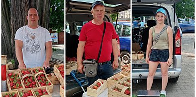 Truskawkowy sezon w pełni. Jakie ceny i jak sprzedawcy oceniają zbiory?-326856