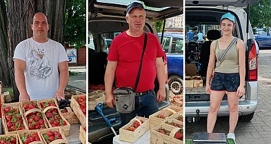 Truskawkowy sezon w pełni. Jakie ceny i jak sprzedawcy oceniają zbiory?-326856