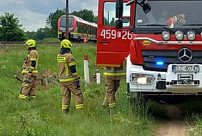 Tragiczny wypadek w Krępie – mężczyzna zginął pod kołami pociągu-326920