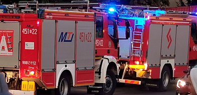 Spokojna sobota strażaków mimo alarmujących zgłoszeń-326908