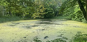 Gmina zyska nową wizytówkę
