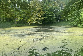 Gmina zyska nową wizytówkę-327073