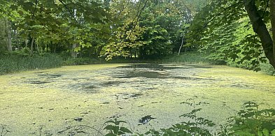 Gmina zyska nową wizytówkę-327073