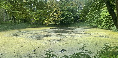 Gmina zyska nową wizytówkę-327073