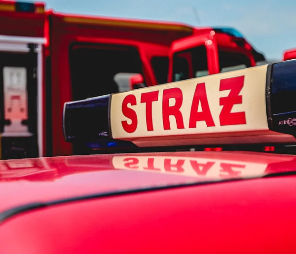Pszczoły na drzewie w mieście. Interweniował pszczelarz i straż-327239