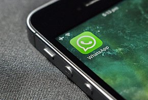 WhatsApp się zmienia. Czy aplikacja będzie płatna?-327321