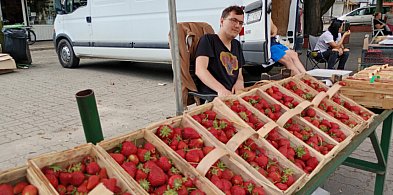 Truskawkowy sezon w Łowiczu na finiszu? Ceny znów idą w górę-327292