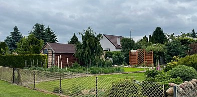 Zmieniły się ogrody, zmienili się działkowcy-327299