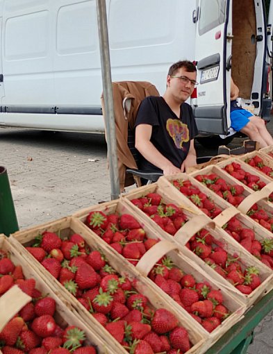 Truskawkowy sezon w Łowiczu na finiszu? Ceny znów idą w górę-327292