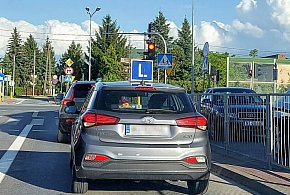 Egzamin na prawo jazdy będzie inny. Od 1 lipca nowe zasady-327495