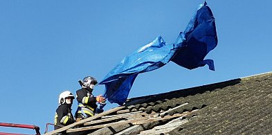 Mocno wiało w nocy... Ale było spokojnie-327475