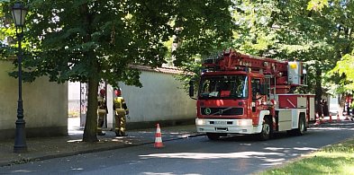 Strażacy interweniowali w Al. Sienkiewicza w Łowiczu -327775
