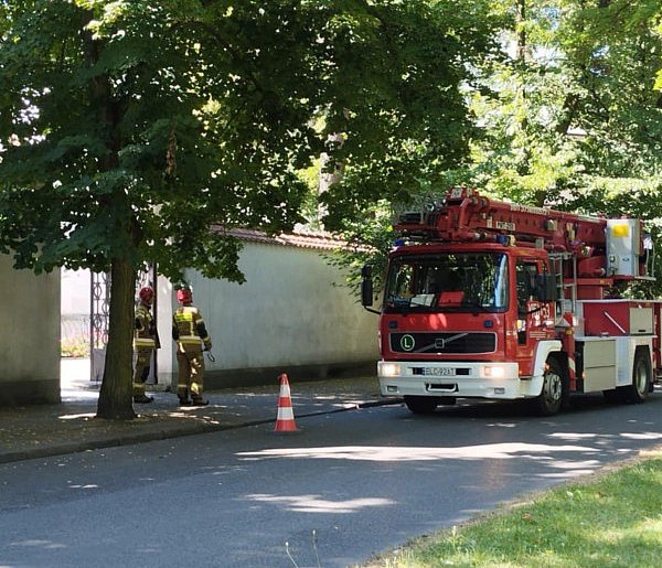 Strażacy interweniowali w Al. Sienkiewicza w Łowiczu -327775