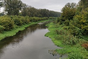 Alert pogodowy nadal w mocy. Sprawdzamy poziomy rzek w powiecie łowickim-328031