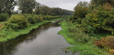 Alert pogodowy nadal w mocy. Sprawdzamy poziomy rzek w powiecie łowickim-328031