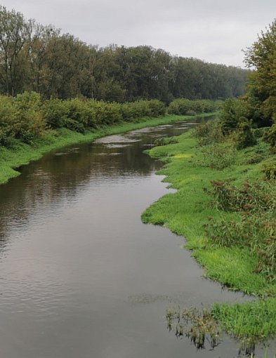 Alert pogodowy nadal w mocy. Sprawdzamy poziomy rzek w powiecie łowickim-328031