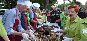 Dzień Kiernozkiego Dzika 2025 przełożony  